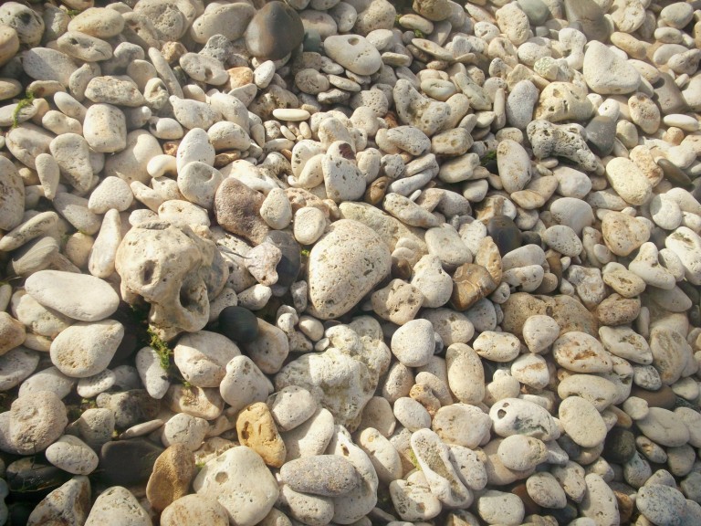bathsheba beach rocks